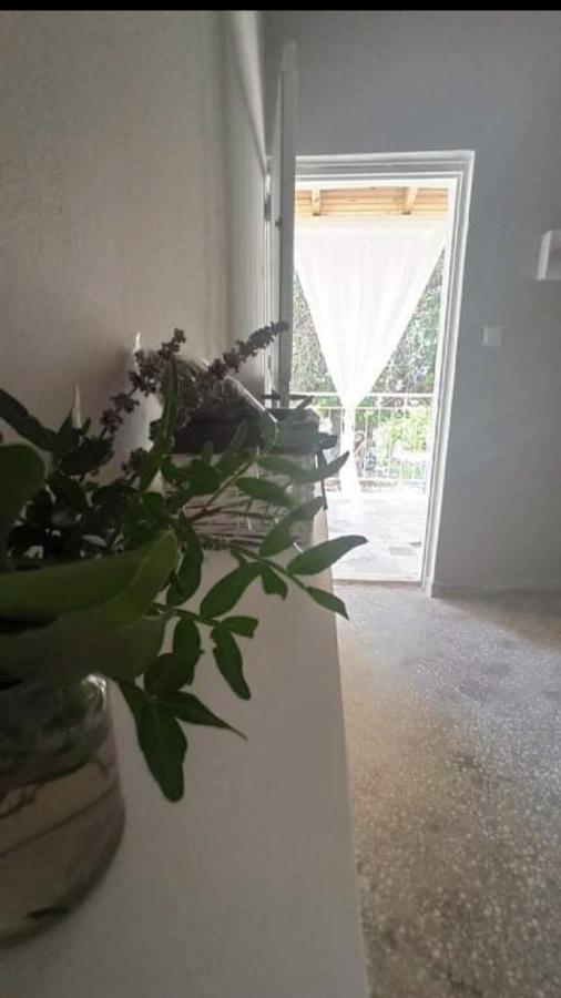 نزل كرانيفي Αγρόκτημα Χελωναριά - Agroktima Chelonaria المظهر الخارجي الصورة