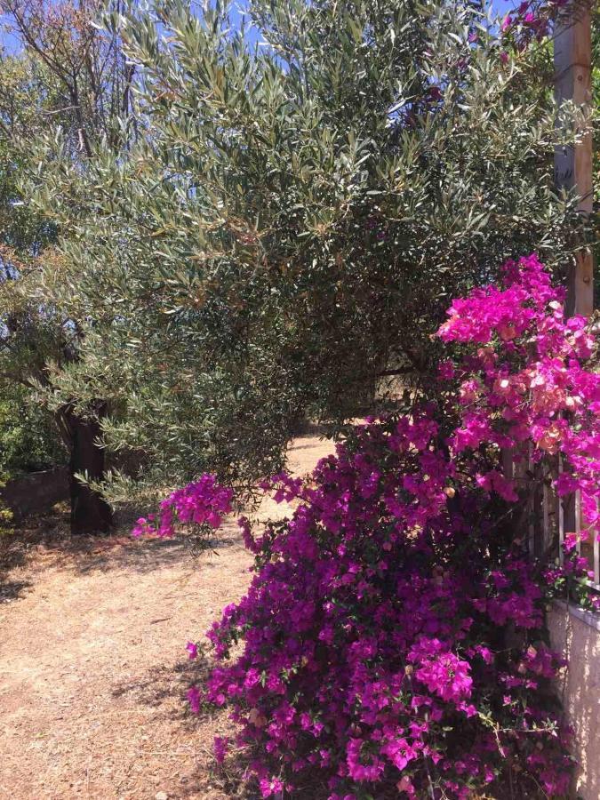 نزل كرانيفي Αγρόκτημα Χελωναριά - Agroktima Chelonaria المظهر الخارجي الصورة
